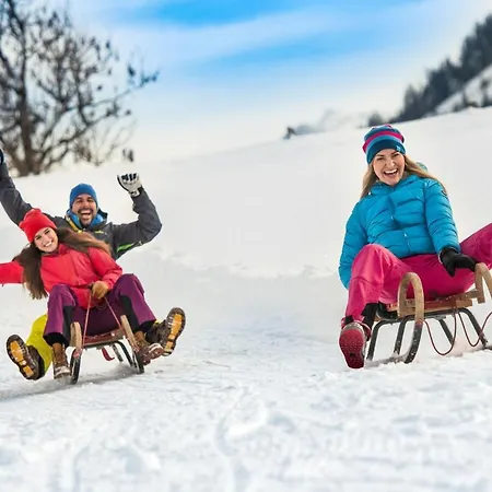 Apart-hotel Harmls Flachau