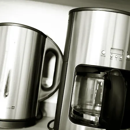 아파트호텔 Harmls 플라차우